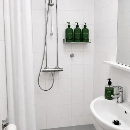 Entire In Kallio Sornainen Helsínquia